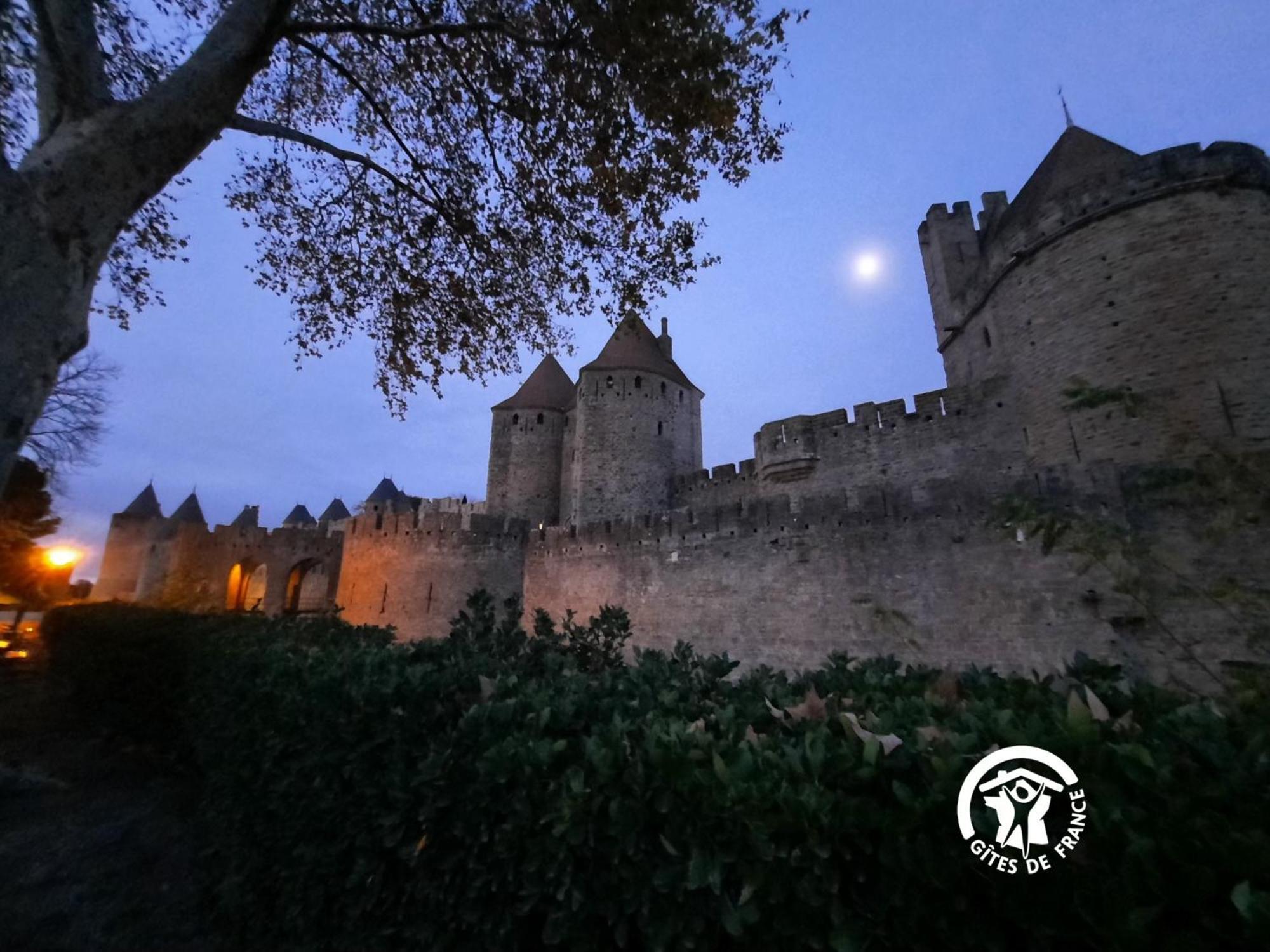 Loft Cocon Climatise - Imprenable Vue Sur Le Chateau Comtal Carcassonne Exterior photo